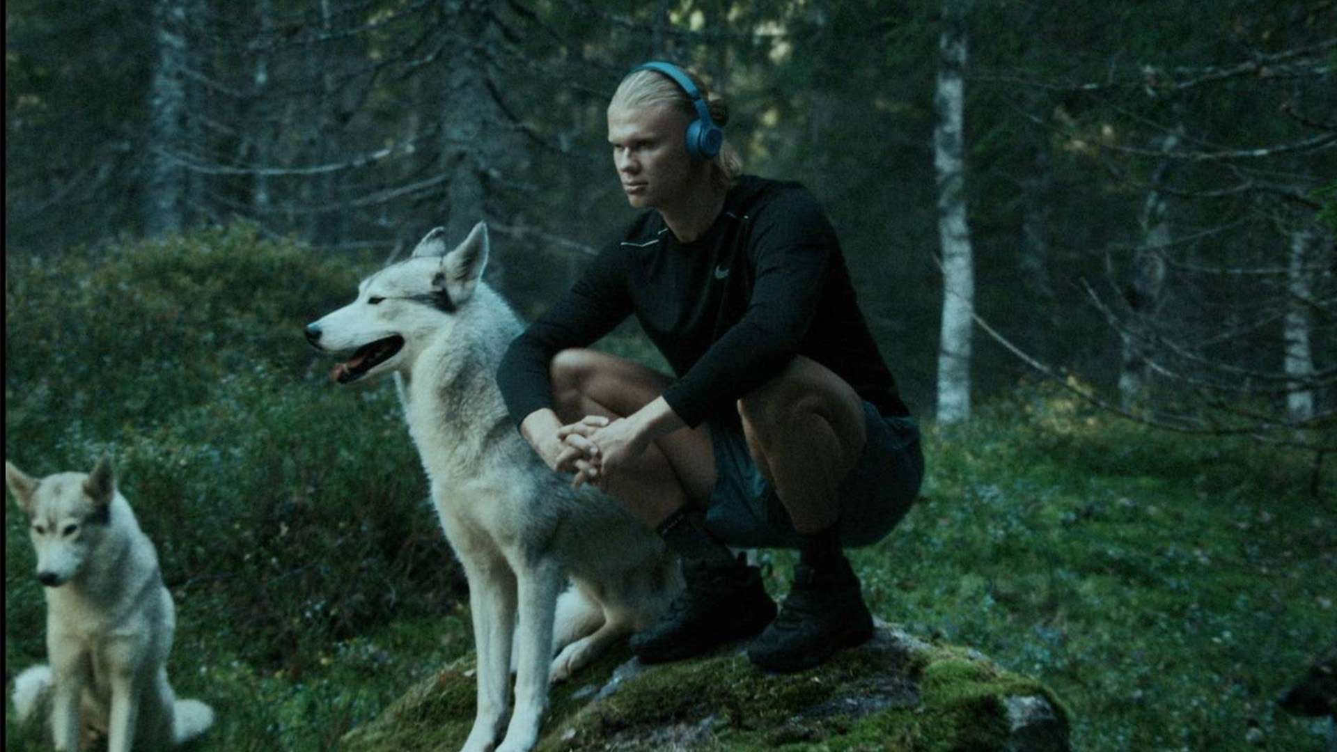 入了活力 入了活力