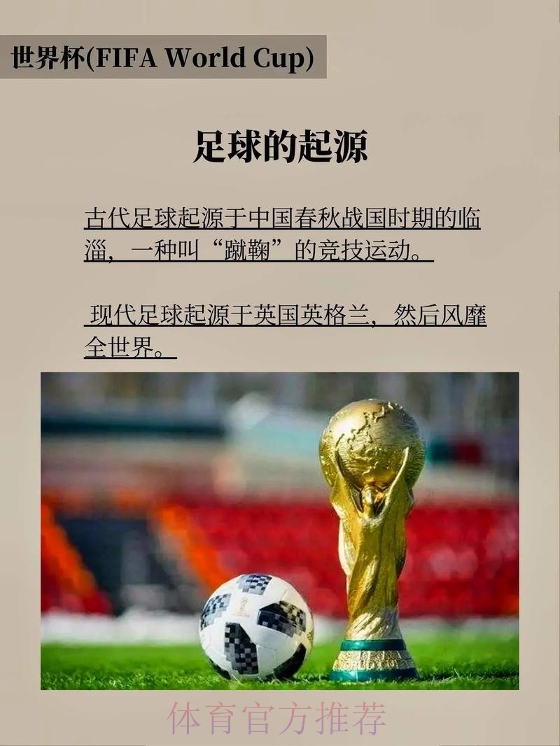 世界杯下注入口：专家解读，助你稳操胜券